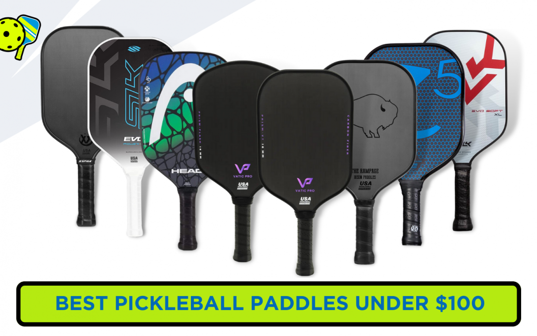 Best Pickleball Paddles Under $100; Choose Your Weapon