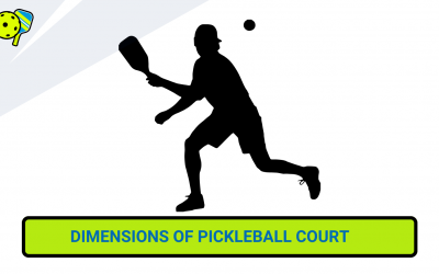 What are the Dimensions of a Pickleball Court? 8 Things of a Winning Court